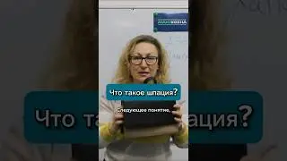 Что такое шпация у сумки? 