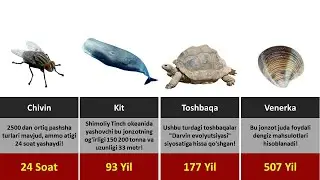 Eng uzun yashaydigan mavjudotlar!