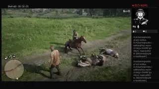 Red dead redemption 2