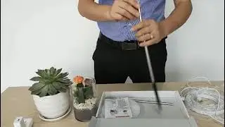 Plant Light