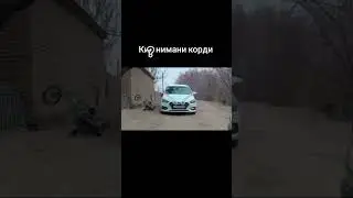 Ким нима курди 