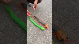 Mera our Ek Snake wala video 😁