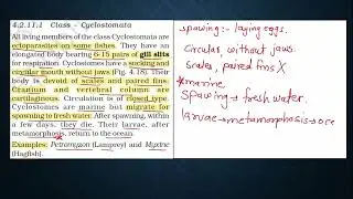NEET Biology Series | U1C4 | PART 5 | Animal Kingdom | The Living World | NCERT | मराठी