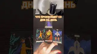 💫 СО ДНЯ НА ДЕНЬ! 
