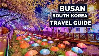 Ultimate BUSAN Day Trip Travel Guide - How to Travel Busan South Korea