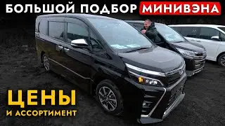 Автоподбор МИНИВЭНА❗️ TOYOTA или HONDA? Большой обзор ЦЕН!  Voxy | Noah | Esquire | Stepwgn