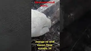 Зубастая находка😱