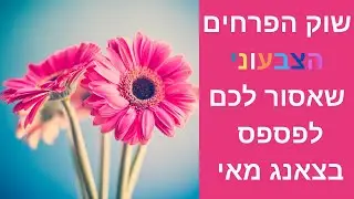 צ'אנג מאי תאילנד, שוק הפרחים הצבעוני, אטרקציות בצאנג מאי