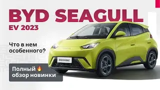 Полный обзор BYD Seagull 2023 | Самый маленький BYD | Бюджетный BYD