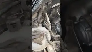 Стук Шкода.