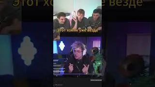 twitch: strogo1337 Hamster Kombat реакция стримеров 