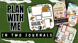 Plan With Me [In TWO Journals]