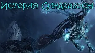 Warcraft: The Tale of Sindragosa | Wyrmwood