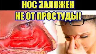 The problem of a stuffy nose in your gut