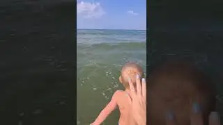 Зелёное море Анапы #море #анапа #водоросли