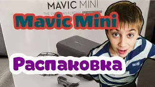 РАСПАКОВКА ДРОНА DJI MAVIC MINI + ВИДЕО С ЕГО КАМЕРЫ