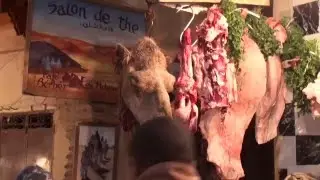 Fas Turu / Rotanızı Biz Belirleyelim