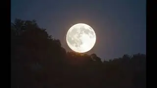 Zoran Zoka Jankovic - VRBAS I PLIVA - (PJESMA O JAJCU I MJESECU)