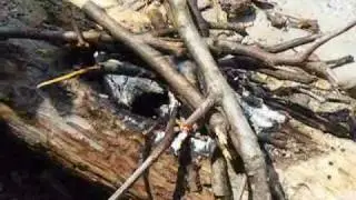 Almost Naked Into The Bush - Coal Burning a Water Container 1