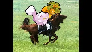 PM + Miaou = PMiaou