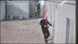 شاهد قبل الحذف عركة فروخ  