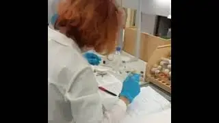 День науки в лаборатории