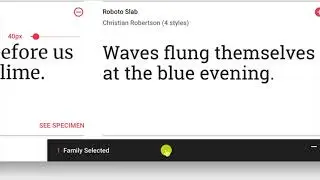 Axure RP 9, week 6.1, installing Google Fonts