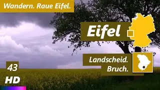 Eifel | Landscheid - Bruch | Wandertour | Eifelsteig | Schmitzlinden