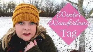 Winter Wonderland Book Tag