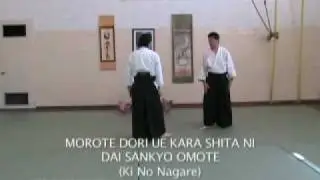Traditional aikido sandan level Taijutsu techniques PART 3