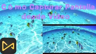 Capturar pantalla de video || Tomar instantánea desde video || AceMovi