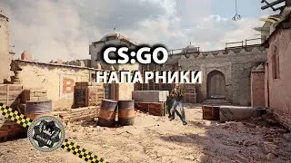 CS:GO напарники |нарезка|