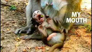 MY MOUTH - MY FOOD !! Baby confuse open big mouth under hand mom| Tobais worry lost food from mouth.
