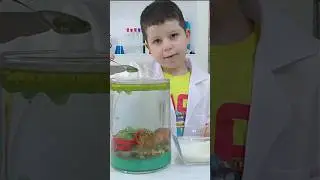 Очень красивый эксперимент 