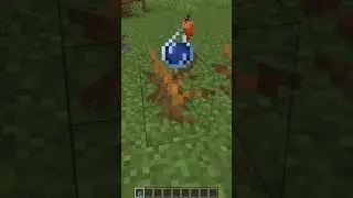 Giving Water to Dead Bushes #shorts