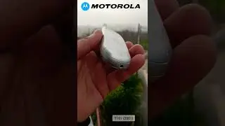 Motorola Talkabout T191, Silver 