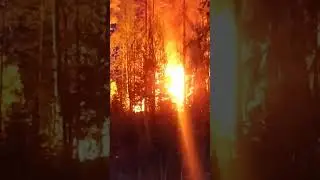 Пожар вчера в 