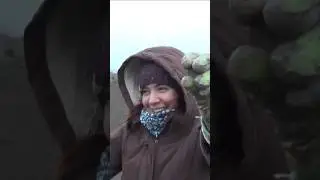 Привет, я Лана и я зависима от... 