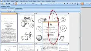07 Moving and copying PDF and TIFF pages in PixEdit Imaging Program.