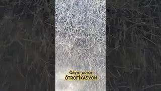 #yks2025 #tyt #deniz #ayt #ayt2025 #biyoloji #tatil #fypyoutube