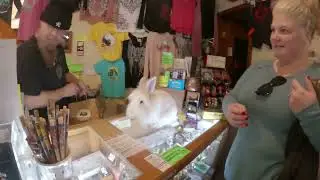 EUREKA SPRINGS - Weekend get-away - (Working Bunnies)