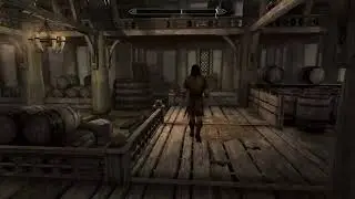 Skyrim survival mode