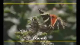 Cabecera 