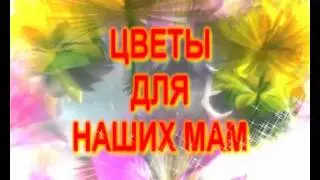 cvetydlyamam1