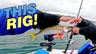 FISH ON with this RIG!