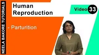 Human Reproduction | NEET | Parturition | Neela Bakore Tutorials