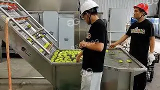 How Is Apple Juice Produced Apple Juice Production Line