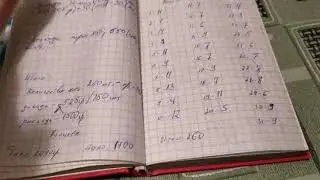 Выгодно ли содержать кур несушек в зимний период?