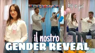 Our GENDER REVEAL 🩵🩷 what we bought and how to organize it ✨️🥰 #genderreveal