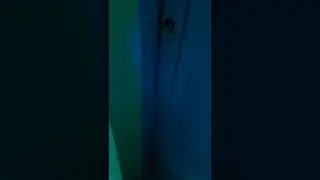 video2